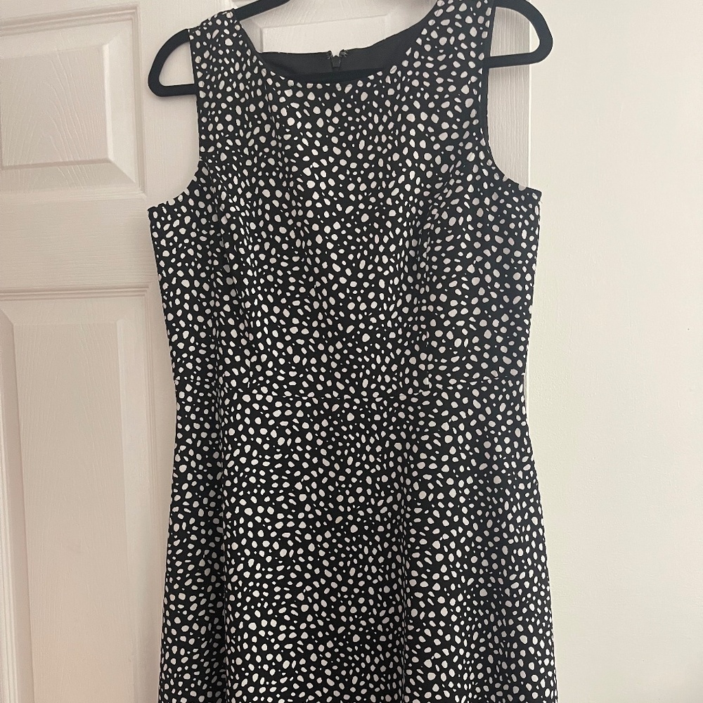 Talbotts Black and White Dress.